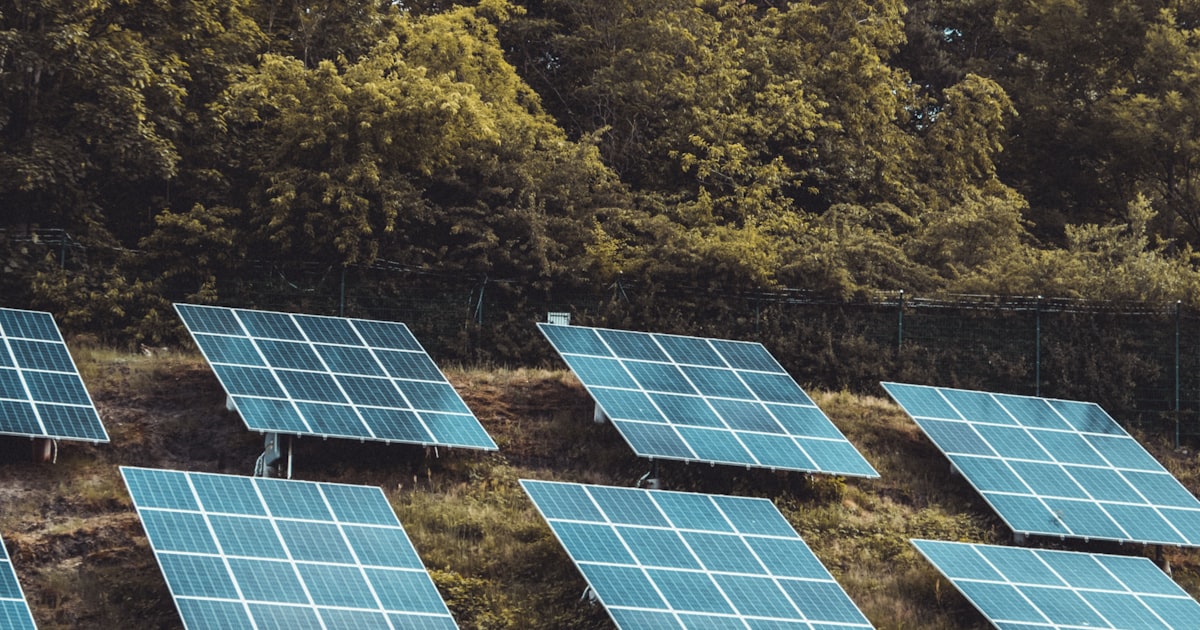 Revenus annuels d'une installation de panneaux solaires en France