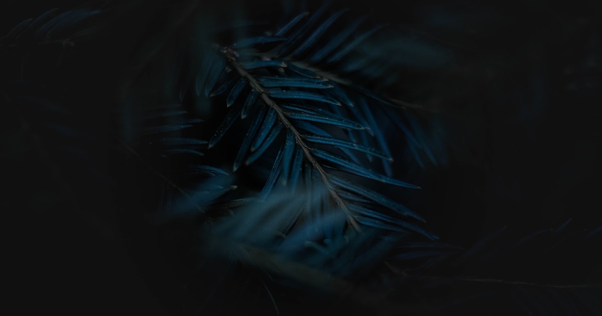 Production de panneaux solaires en hiver avec neige